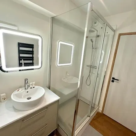 Apartmán L'oasis Groupama Stadium Ol Et Ldlc Arena